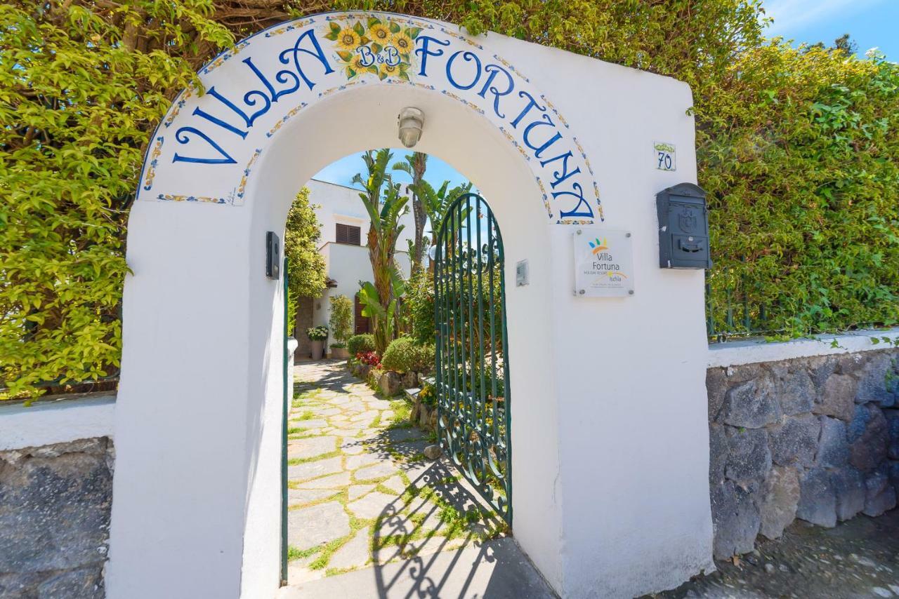 Bed & Breakfast Fortuna